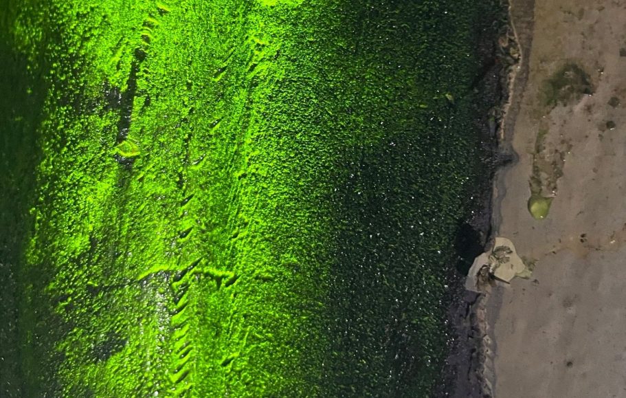 MT-Prüfung Gussteil Turbinendeckel Leuchtendes MT Prüfmittel